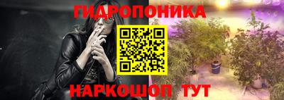 прущие грибы Можга