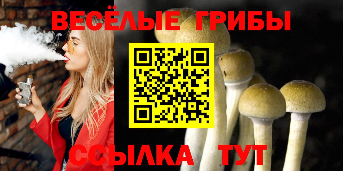 Галлюциногенные грибы Psilocybe  Псилоцибиновые грибы прущие грибы  Урай  Вход с VPN 